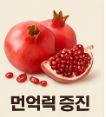 석류 효능