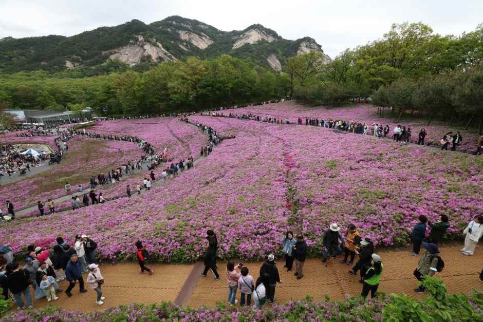  불암산 철쭉축제 가는길, 주차장, 지하철