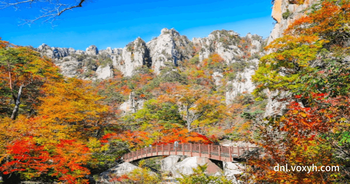 설악산 가을의 단풍