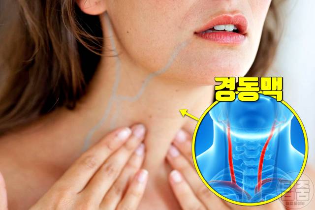 귀에서 삐소리 이명 증상 원인 고혈압