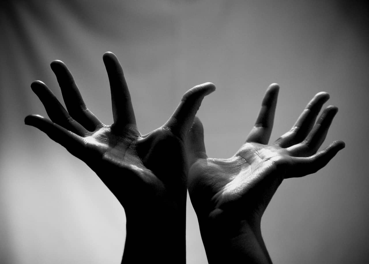 임신 중 촉각 자극이 태아의 운동 능력 발달에 미치는 영향