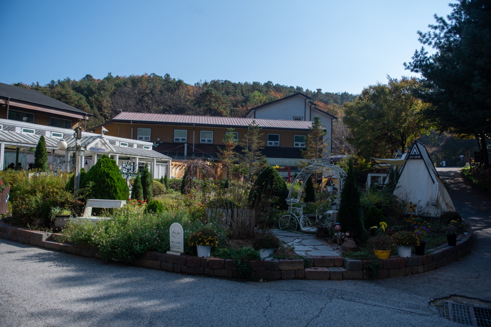 이천 가볼만한 카페 어바웃 네이쳐 (ABOUT NATURE) 야외 정원