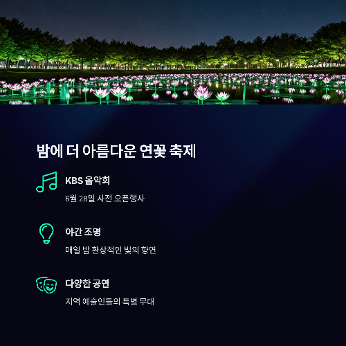 밤에 더 아름다운 연꽃 축제