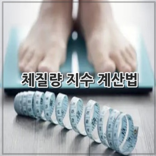 체질량 지수 계산법