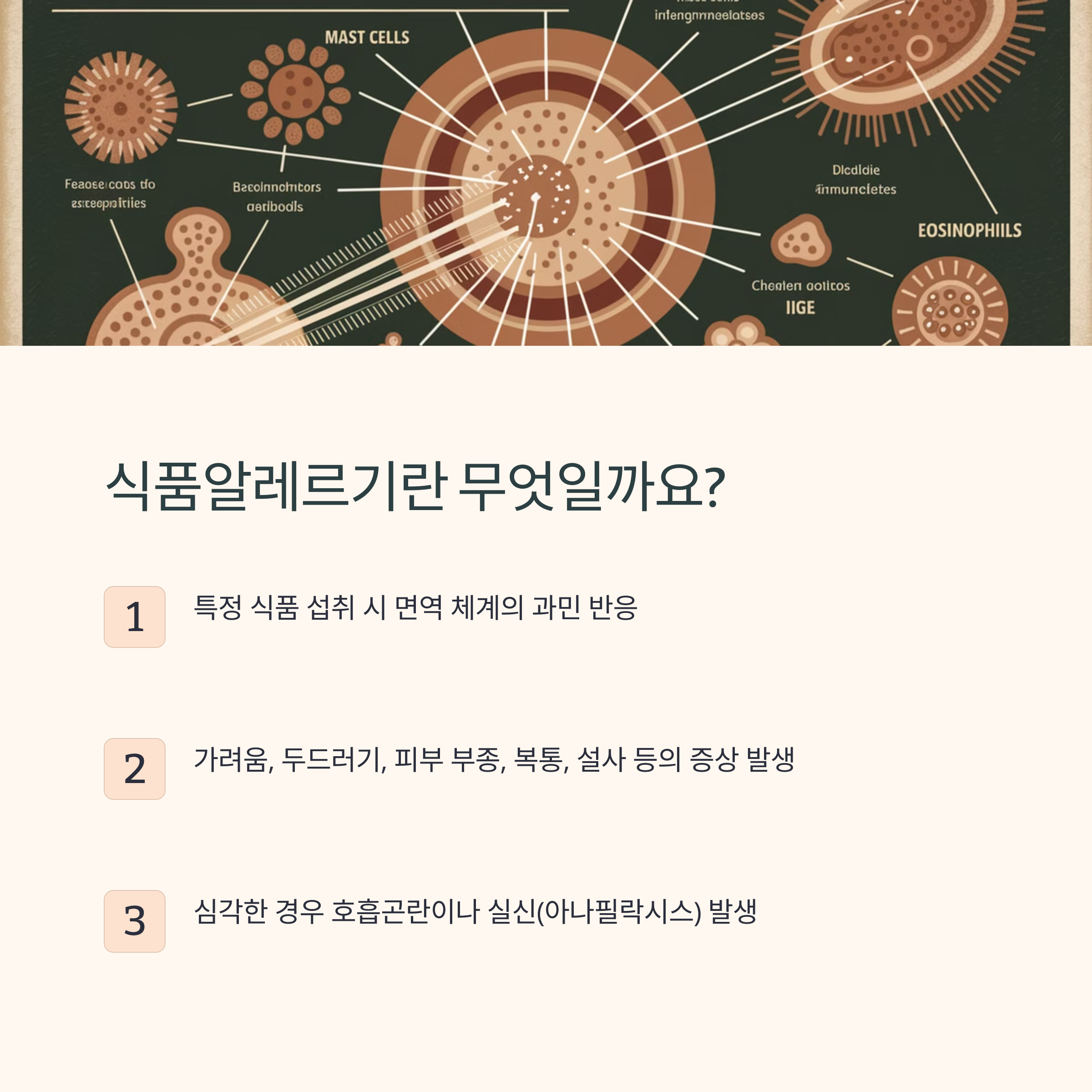 식품알레르기 예방과 관리법