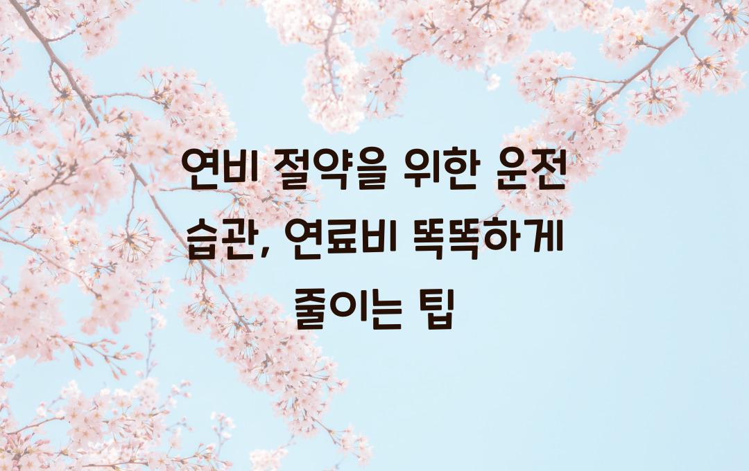 연비 절약을 위한 운전 습관 (연료비 절감 팁)