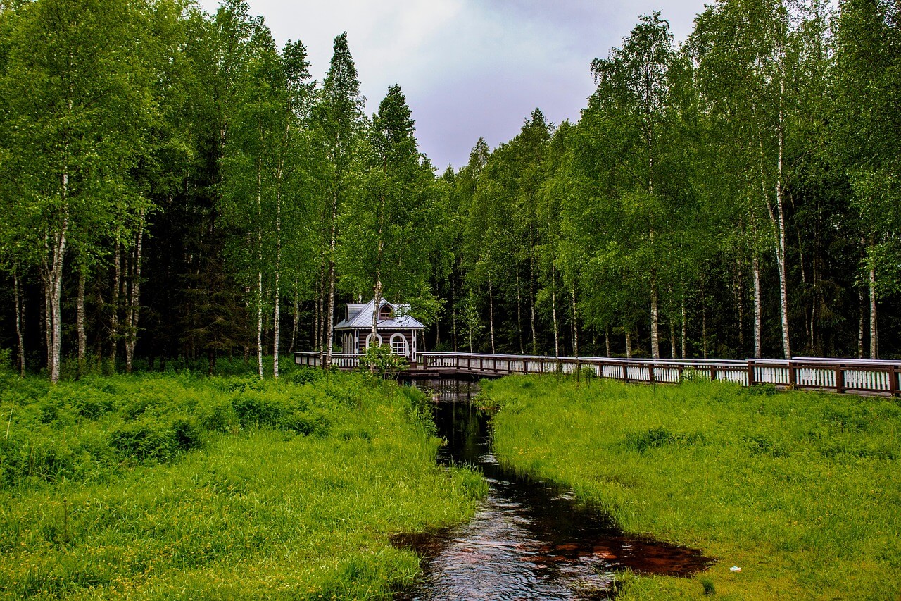 세금과절세 - 서비스업