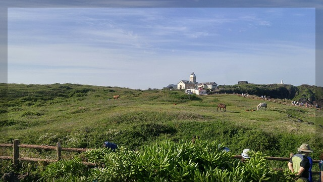 제주 올레길 7코스 미리보기: 제주 자연의 진수를 느끼는 해안 트레킹