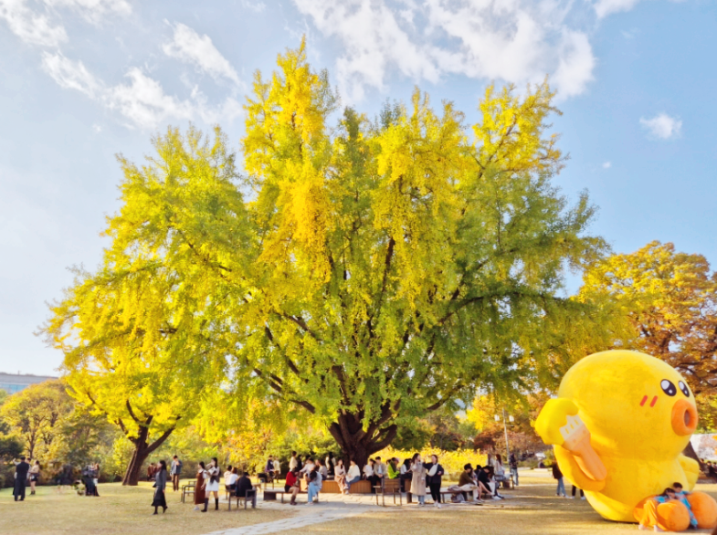 국립고궁박물관