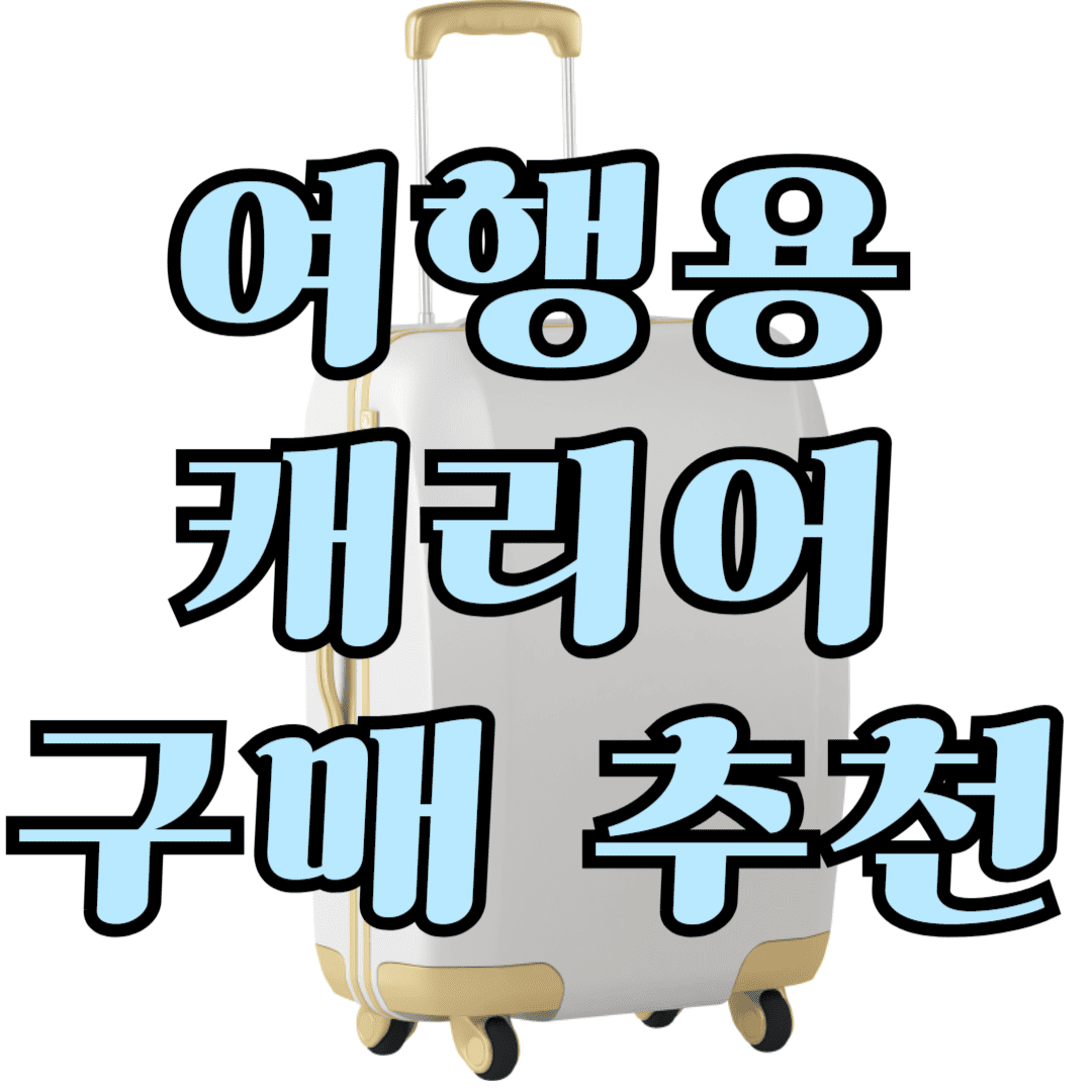 여행용 캐리어 구매 추천!