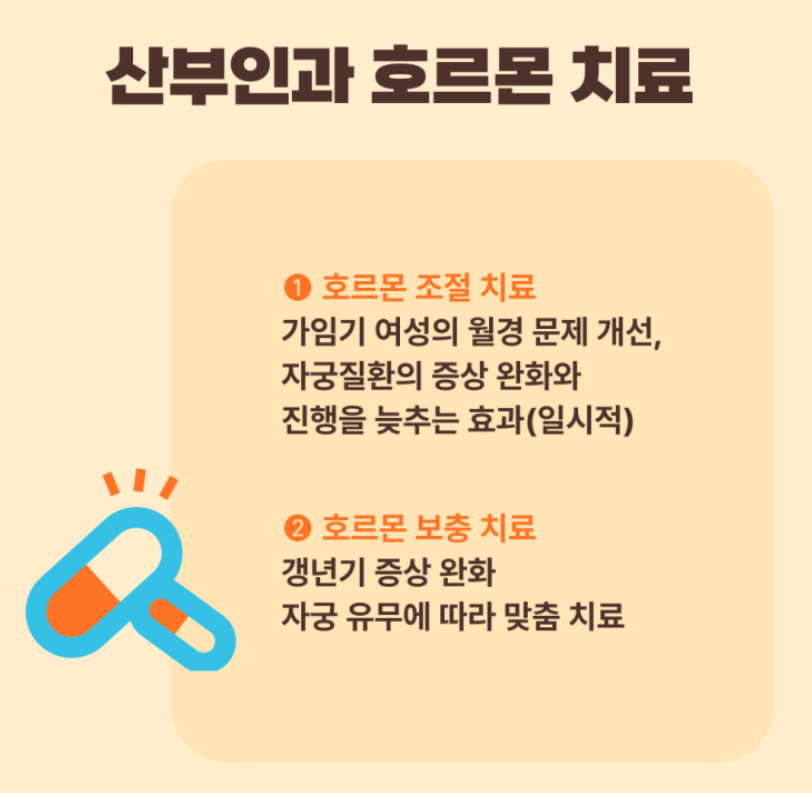 갱년기 호르몬 치료
