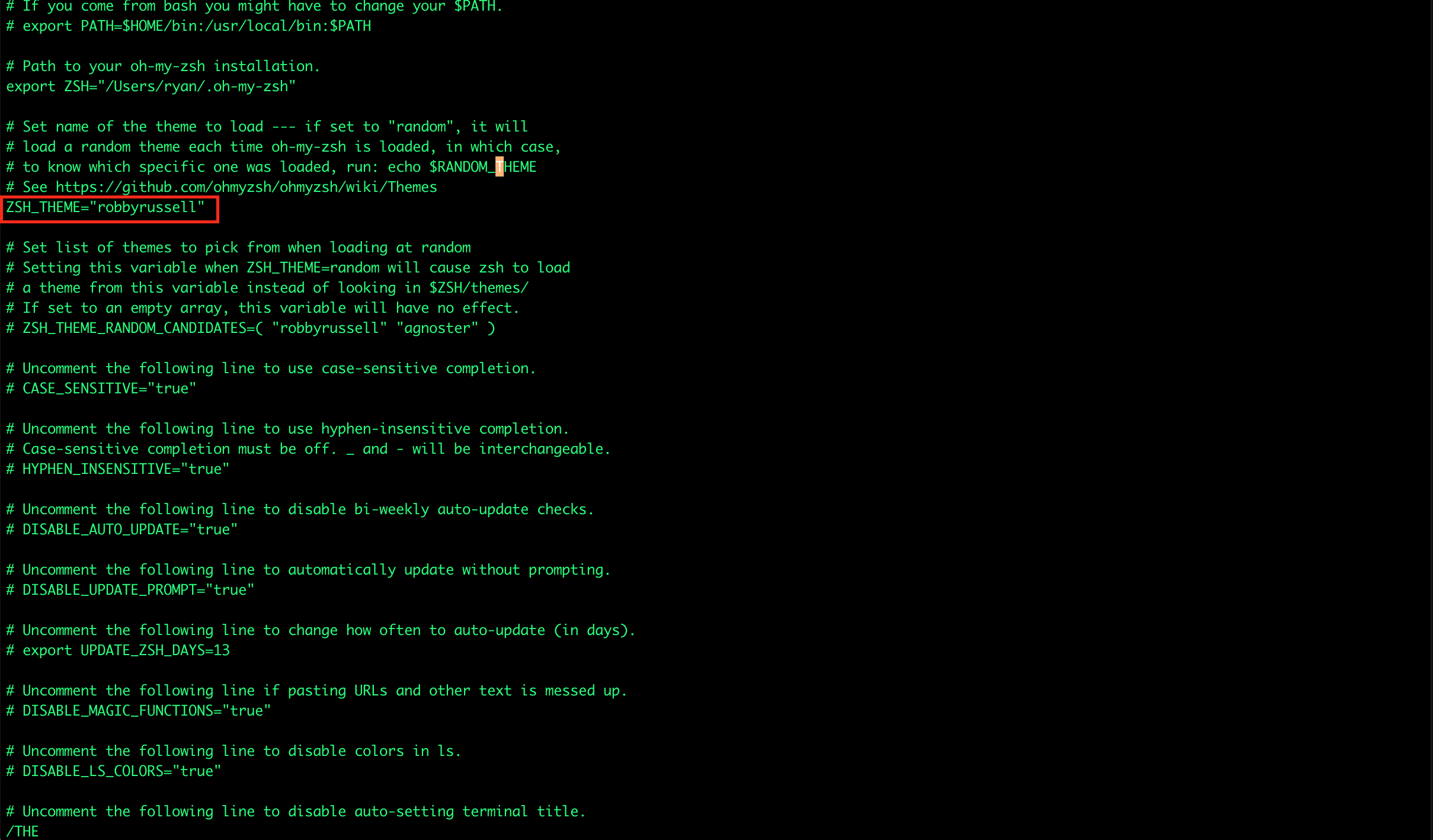 zsh 테마 수정