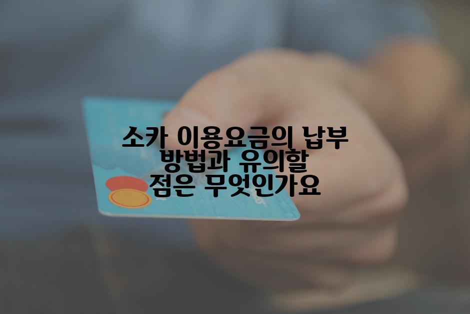 소카 이용요금의 납부 방법과 유의할 점은 무엇인가요