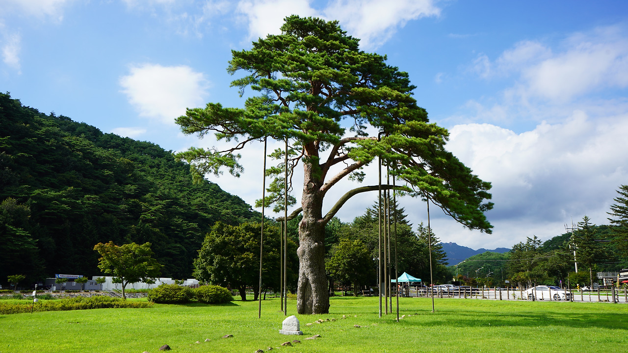 보은 가볼만한곳 베스트10