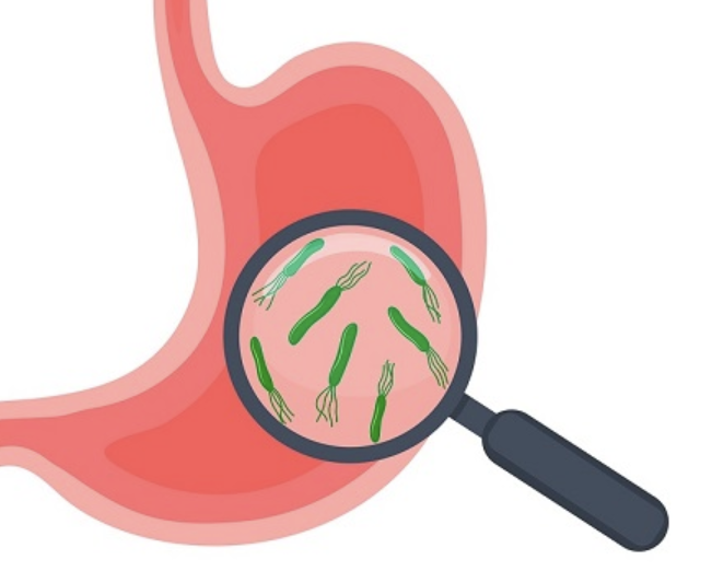 헬리코박터균 2