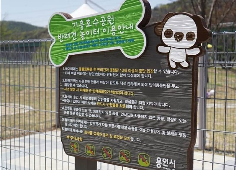 반려견과 함께 떠나는 전국 산행 명소 7선 : 강아지 동반 가능한 등산 코스 총정리