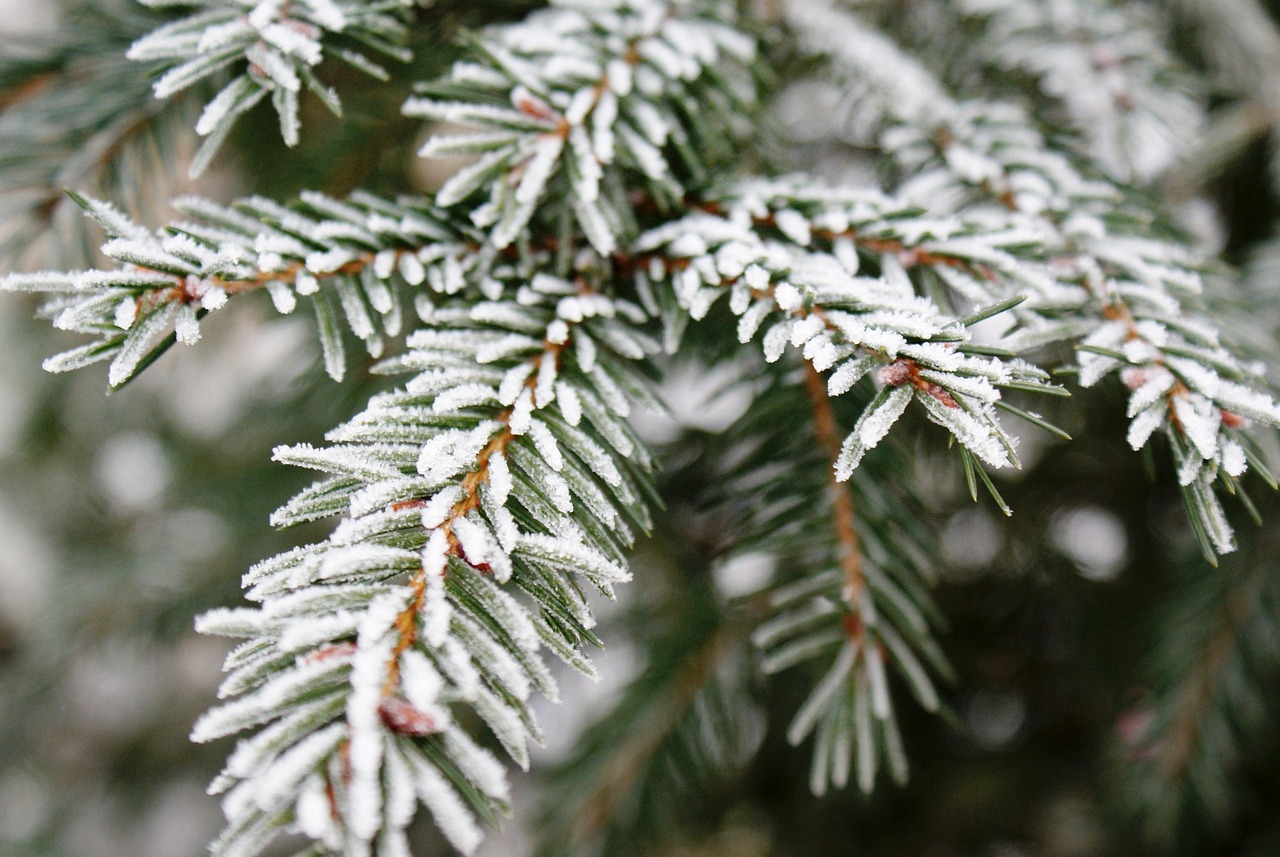 비염에 좋은 영양제