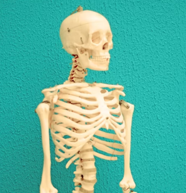 골다공증에 좋은 음식 영양제 식단