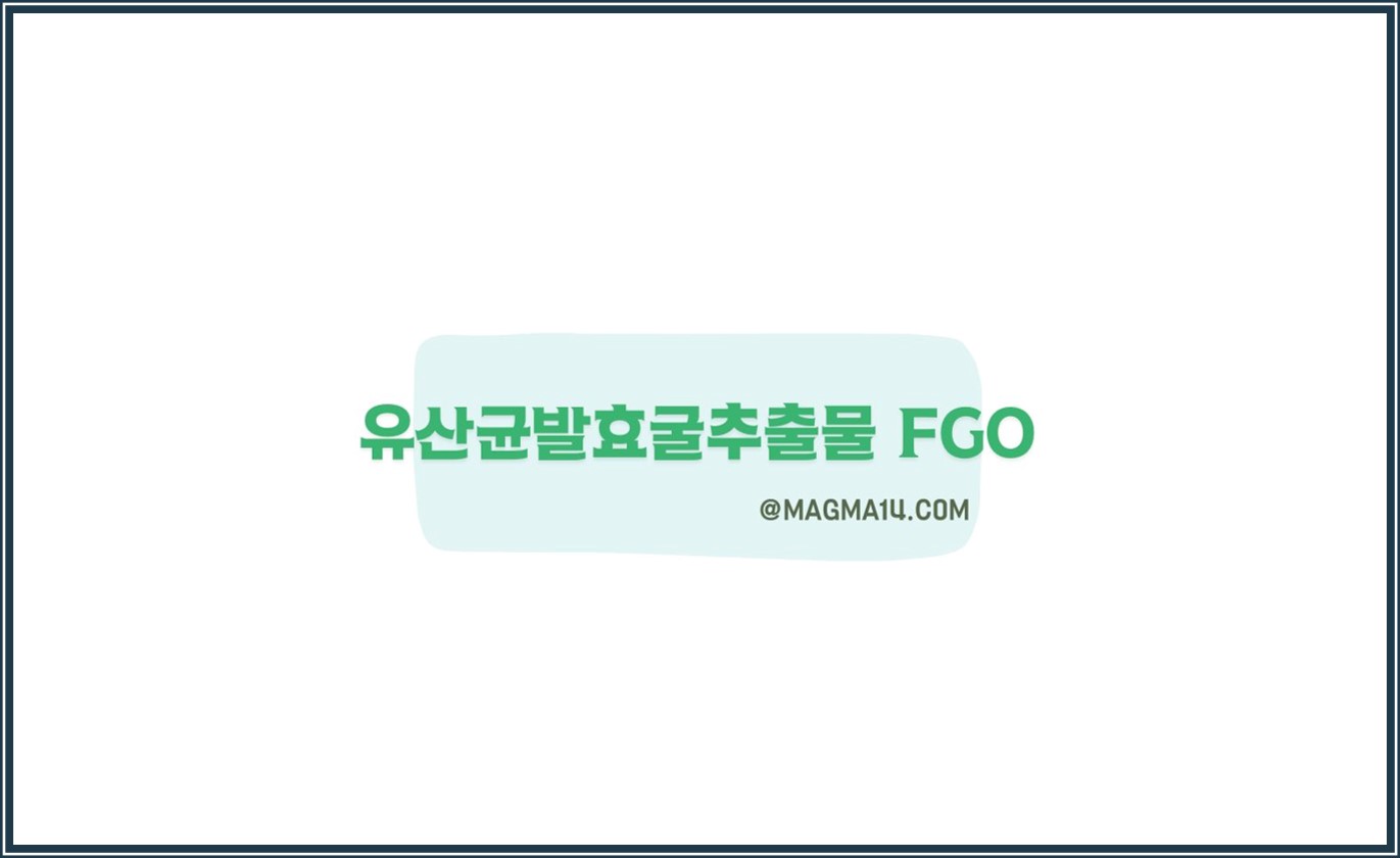 키성장성분 유산균발효굴추출물 FGO의 모든 것