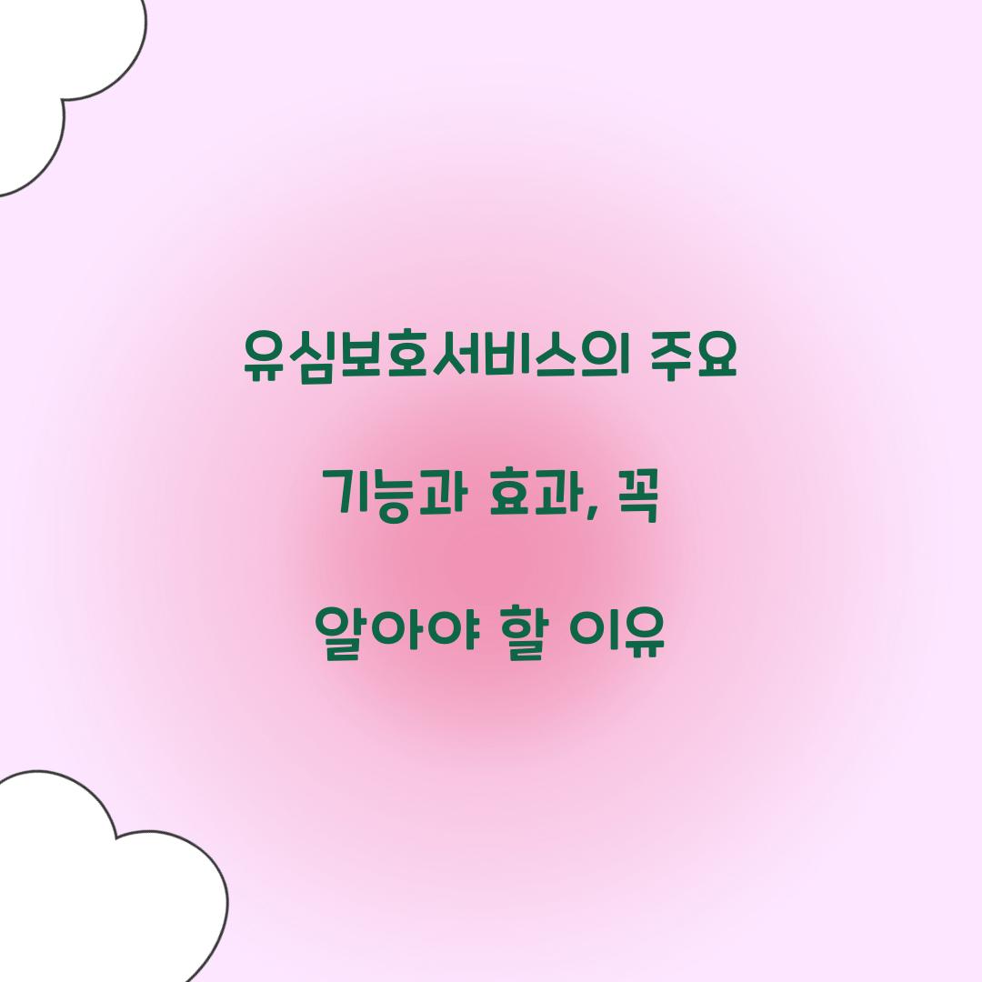 유심보호서비스의 주요 기능과 효과