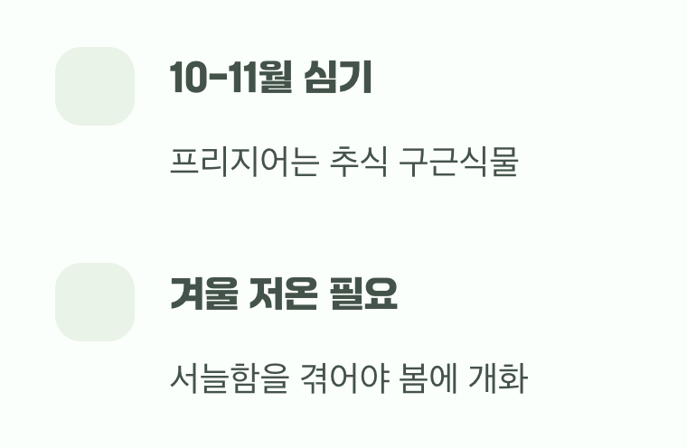 첫 번째 비결: 시작이 반, 구근 심는 시점