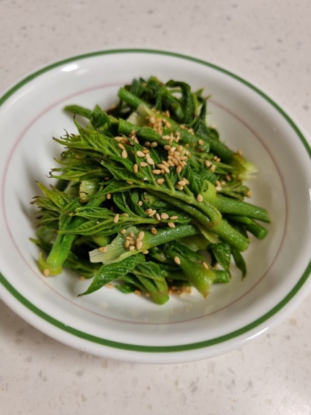 땅두릅 참두릅 효능과 부작용