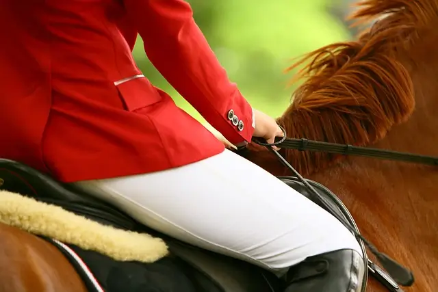 a dressage in a horse race