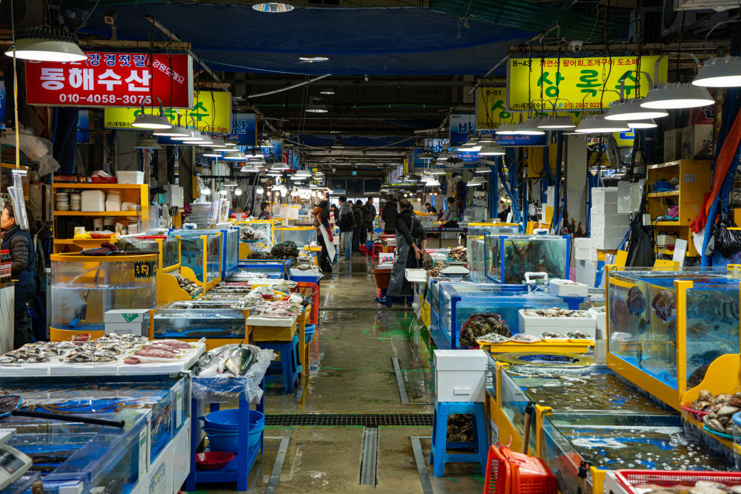 궁평항 수산물 직판장