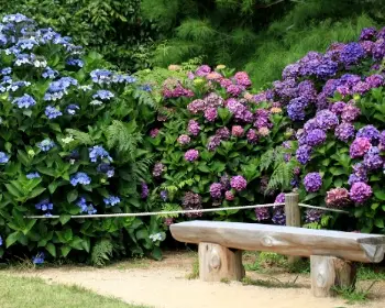 천리포수목원 목련 축제_21