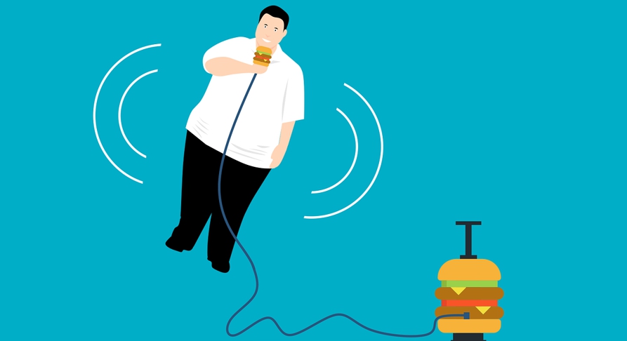 콜레스테롤이 많은 패스트푸드-사진