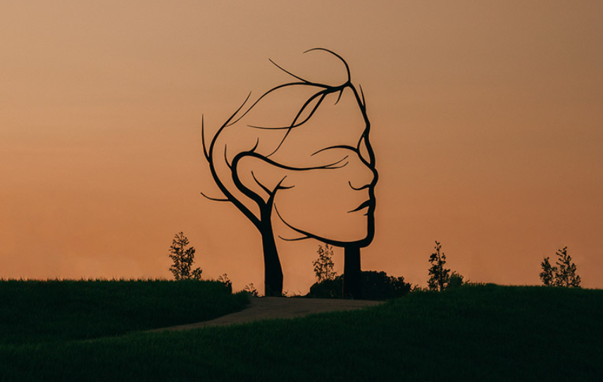 DMZ 파주 평화누리 캠핑장-예약선착순 , 요금및 위치