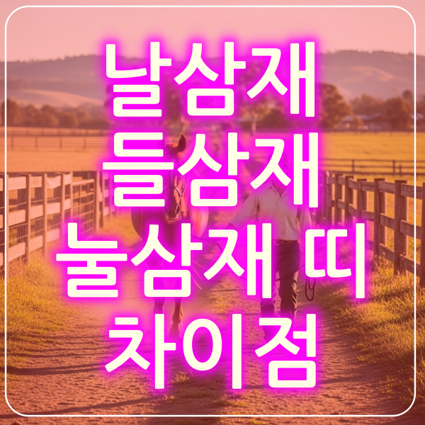 날들눌삼재
