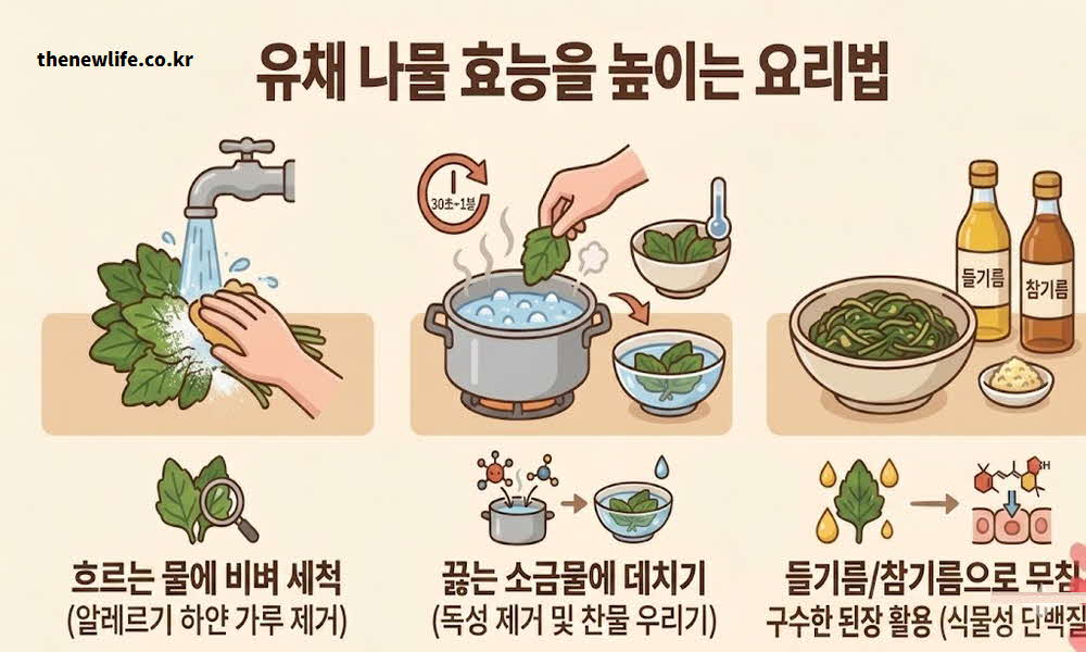 유채 나물 효능 높이는 요리법