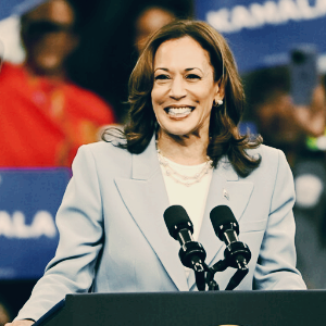 해리스 관련주 대장주 TOP10 총정리