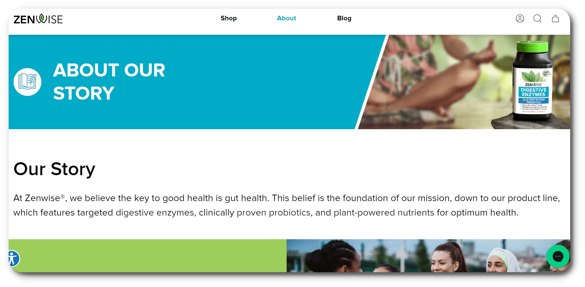 젠와이즈 리포조말 비타민c