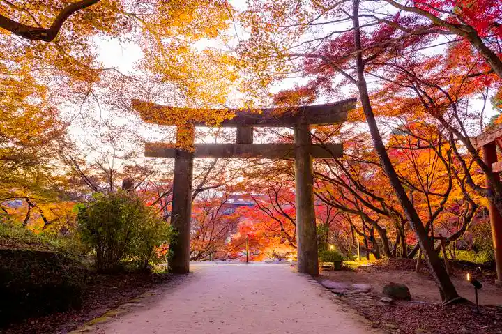 다자이후텐만구 (太宰府天満宮)