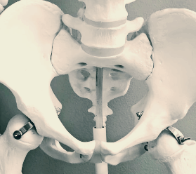 고관절통증 증상과 원인