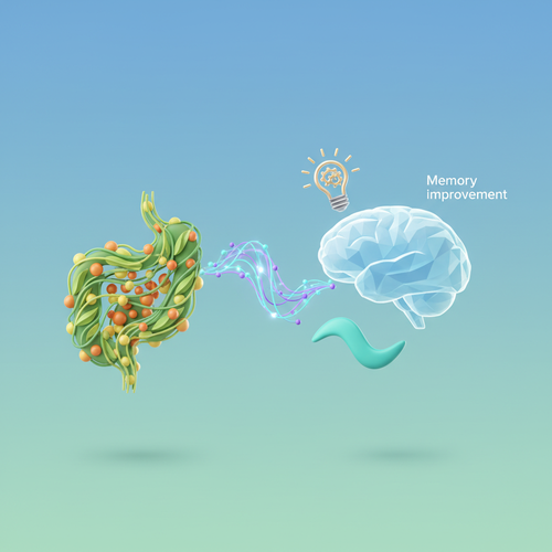 프로 뇌유산균&amp;#44; 왜 주목해야 할까요?