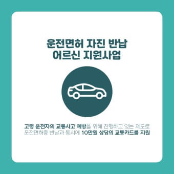 운전면허 반납 지원금