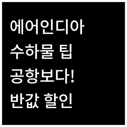 에어인디아 초과 수하물 요금, 공항보..