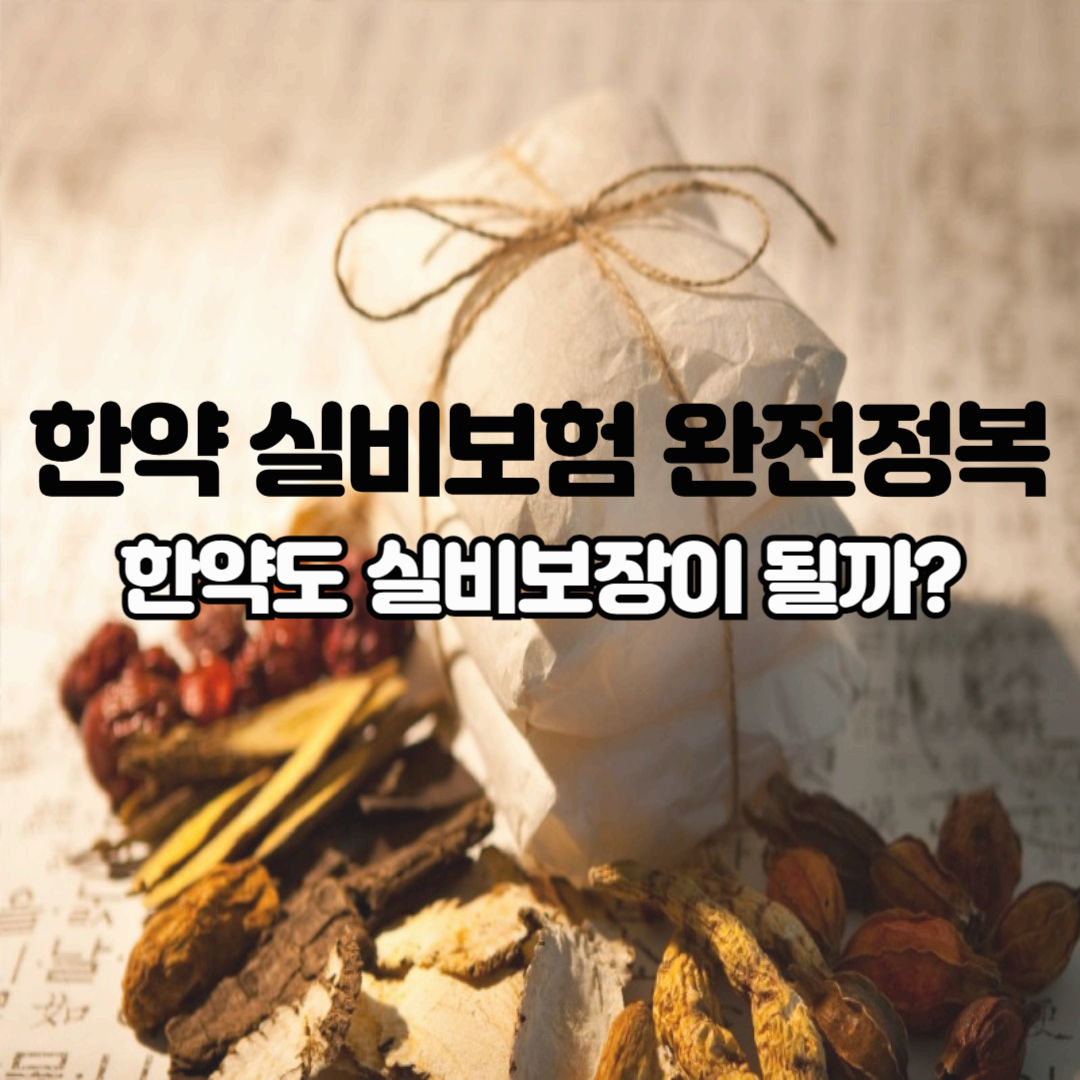 한약 실비보험 완전정복: 한의원 한약 실비보장, 진짜 되는지 최신 정보 총정리!
