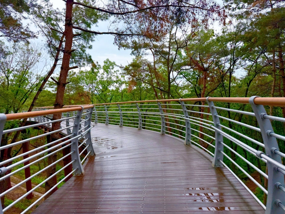 원주 소금산 그랜드밸리