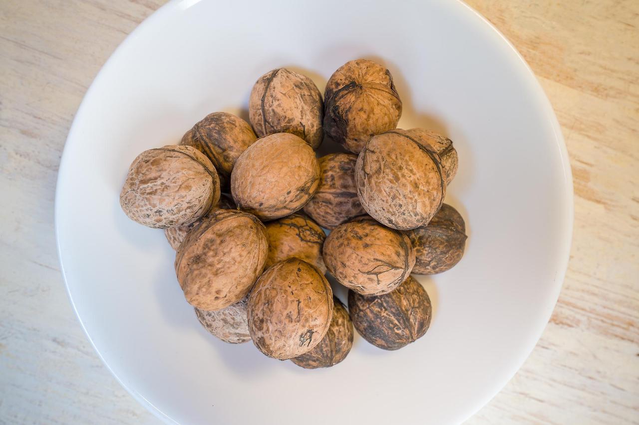 호두 효능 메일