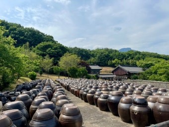 통도사 서운암 항아리사진