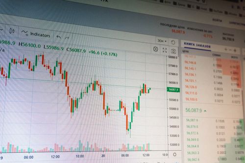 채권 ETF vs 개별 채권, 초보 투자자에게 더 유리한 선택은?