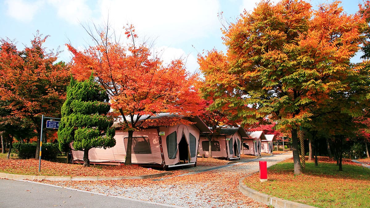 [경기도 가을캠핑] 안산 화랑오토캠핑장｜커플 감성 + 가족 힐링 + 초보도 쉬운 오토캠핑