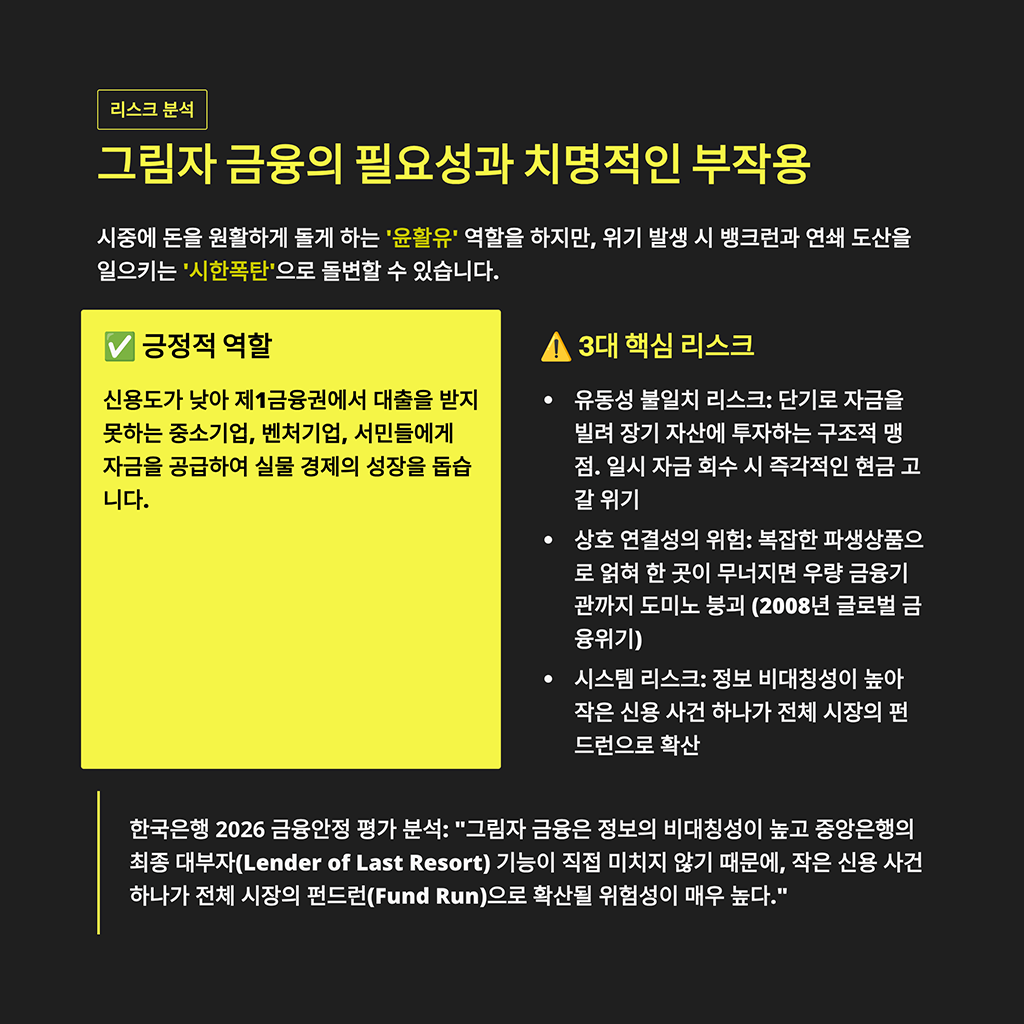 그림자 금융의 필요성과 치명적인 부작용