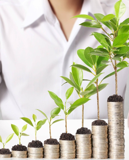 돈 이미지 사진