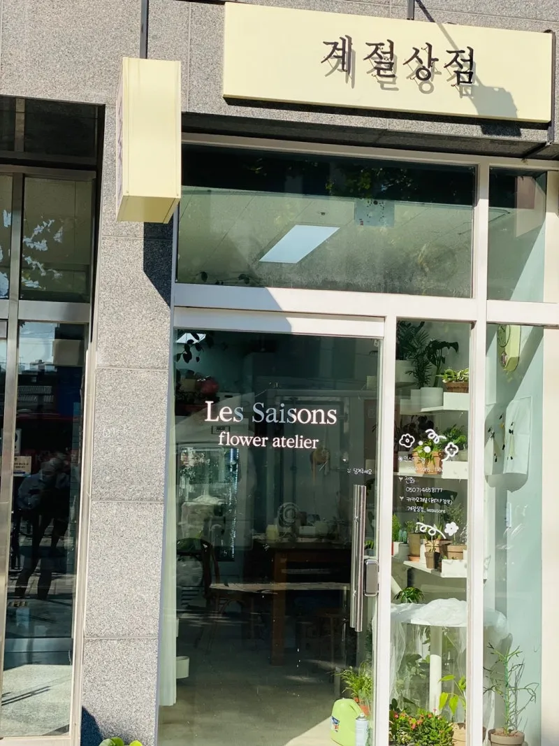 미니 선인장 키우기 물주기 통풍관리 창가배치 귀여운 관리법_7