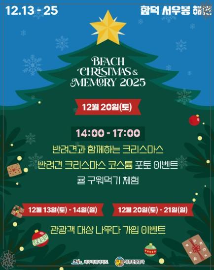❄️ 제주 함덕 비치 크리스마스 메모리 2025 축제 🎄 겨울 바다 감성 여행